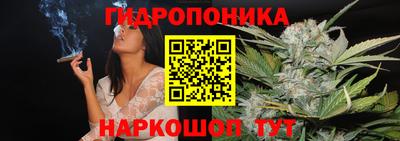 трава Гудермес
