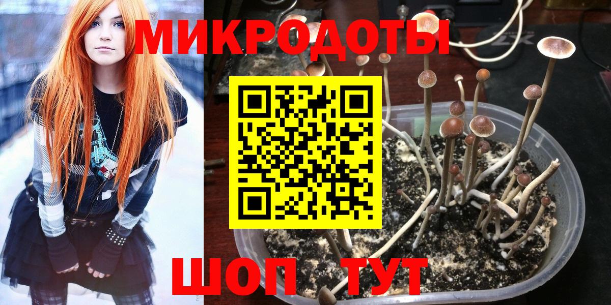 Псилоцибиновые грибы Psilocybe  Псилоцибиновые грибы Cubensis  Вход с VPN  Новоуральск 